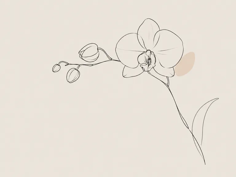 Blooming Orchid Sex Position: Technique, Depth and Comfort